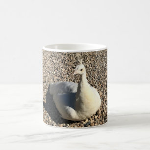 White Peacock, Idaho Coffee Mug