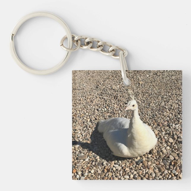 White Peacock, Idaho Keychain (Front)