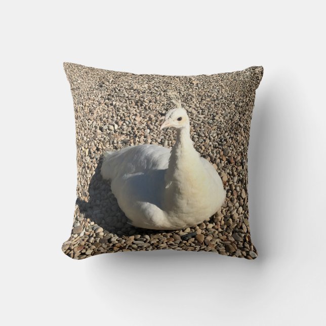 White Peacock, Idaho Throw Pillow (Front)