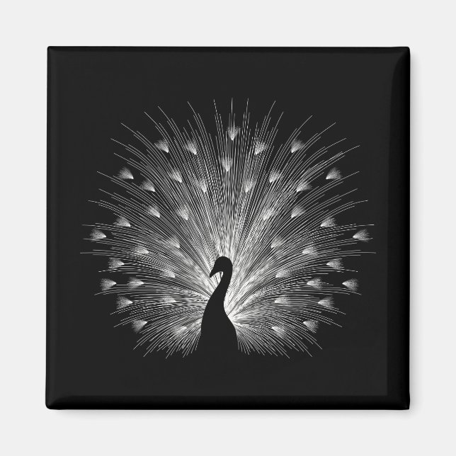 White peacock magnet (Front)