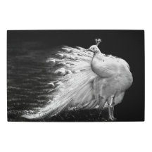 White Peacock Metal Wall Art