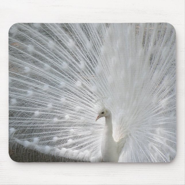 White Peacock Mouse Pad (Front)