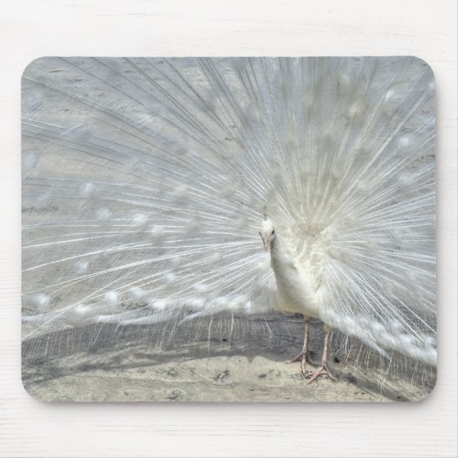 White Peacock Mouse Pad (Front)