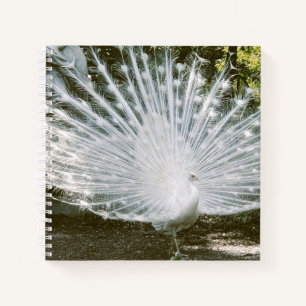 White Peacock Note Book