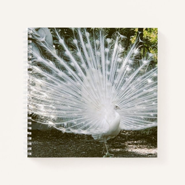 White Peacock Note Book (Front)
