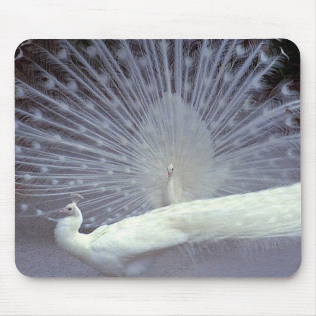 White Peacocks Mousepad (Front)