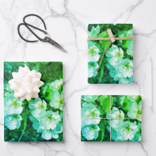 White pear blossoms in spring wrapping paper sheet