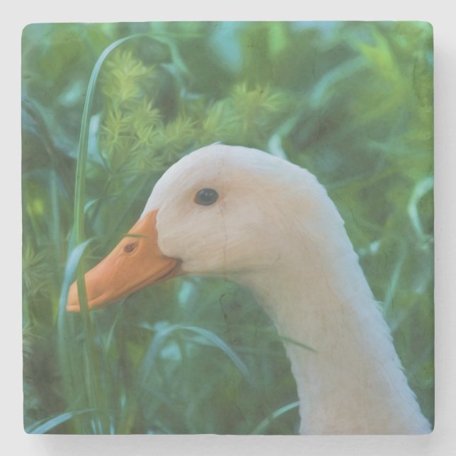 White Pekin Duck Stone Coaster (Front)