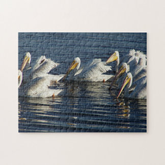 White Pelican Bird Faune Animal Puzzle de natation