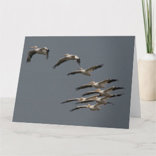 White Pelican Bird Wildlife Birthday Greeting Card