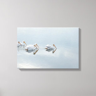 White Pelican Birds Animals Wrapped Canvas Print
