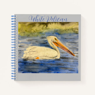 White Pelican Journal