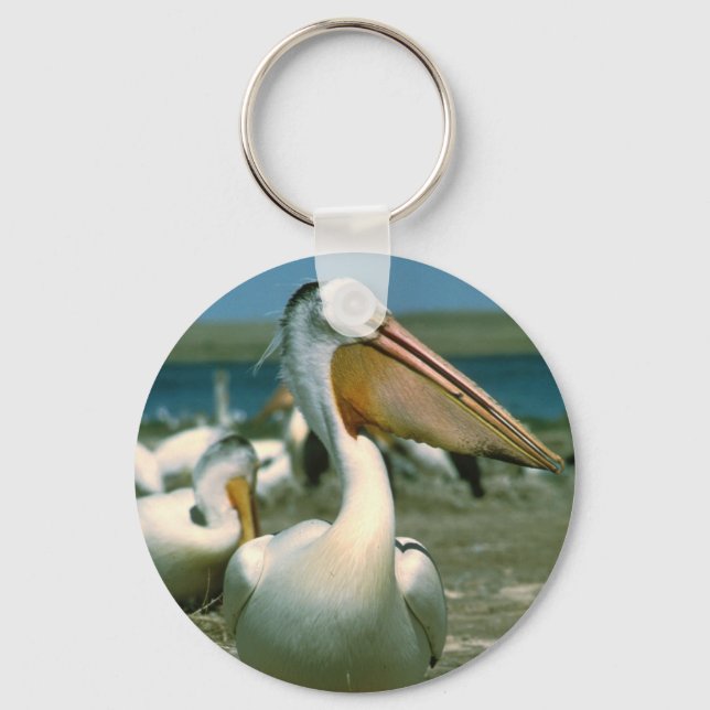 White Pelican Keychain (Front)