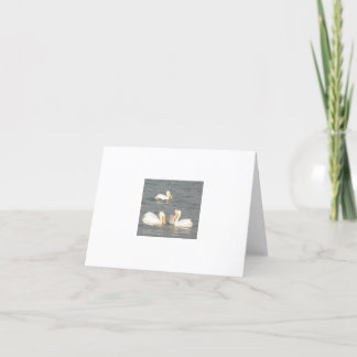 White Pelicans Note Card