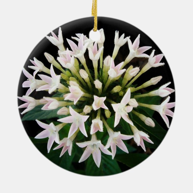 White Pentas Ceramic Ornament (Back)
