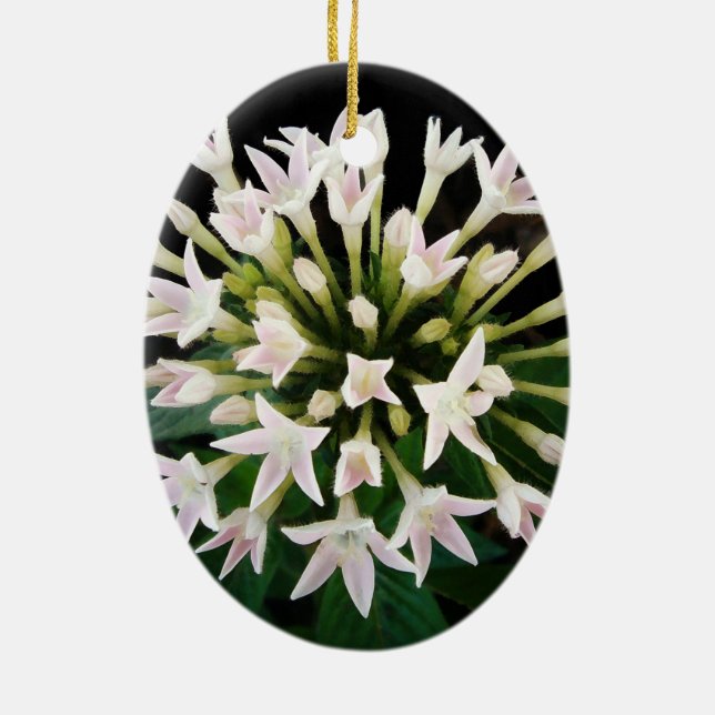 White Pentas Ceramic Ornament (Back)