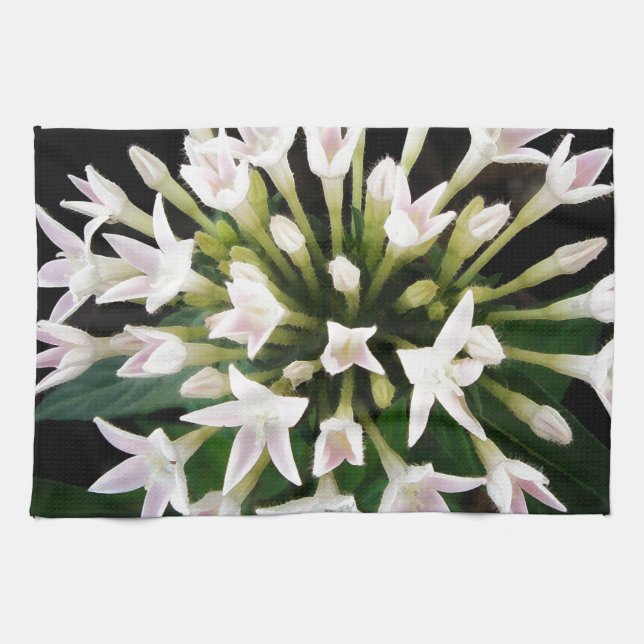 White Pentas Kitchen Towel (Horizontal)