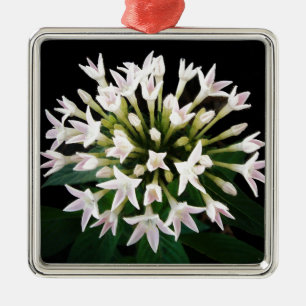 White Pentas Metal Ornament