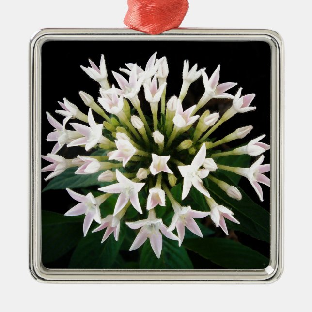 White Pentas Metal Ornament (Front)