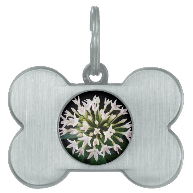 White Pentas Pet Tag (Front)