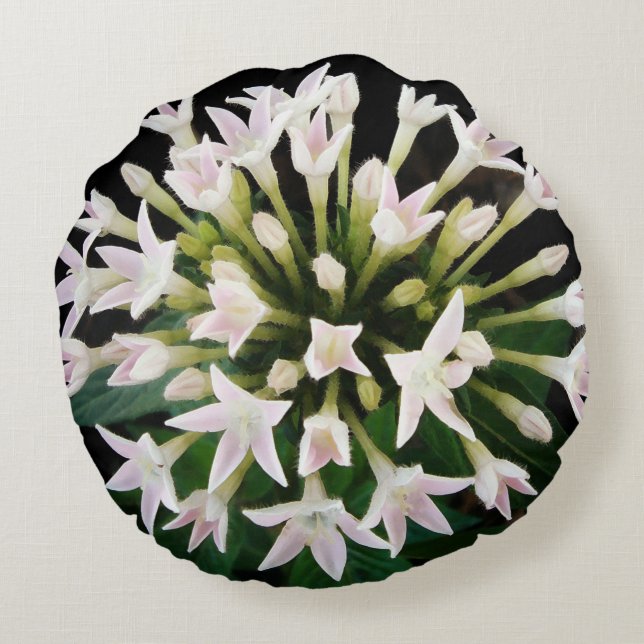 White Pentas Round Pillow (Back)