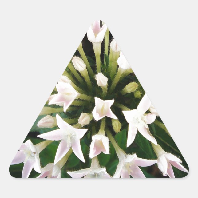 White Pentas Triangle Sticker (Front)