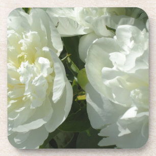 White Peonies Coaster