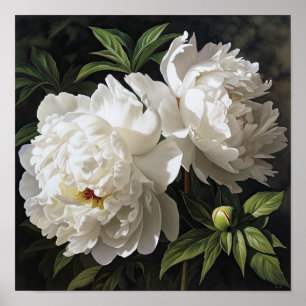 White Peonies Flower Art Print Poster