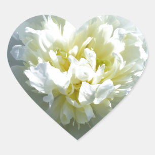 White peonies heart sticker