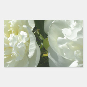 White Peonies Sticker