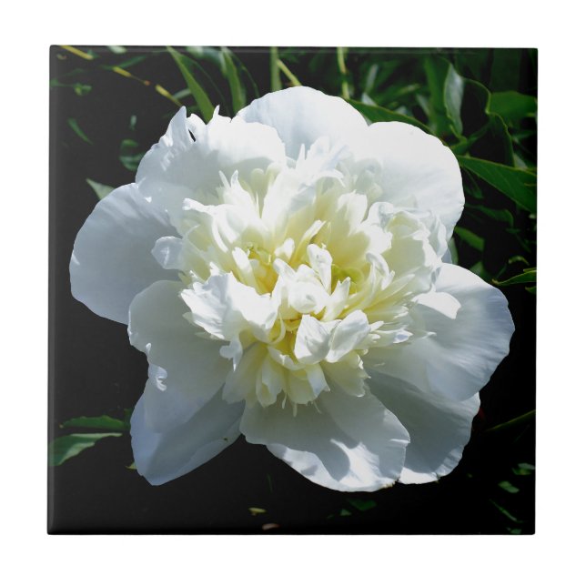 White peonies tile (Front)