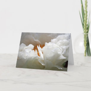 White Peony 2 Carte de photographie florale Fête d