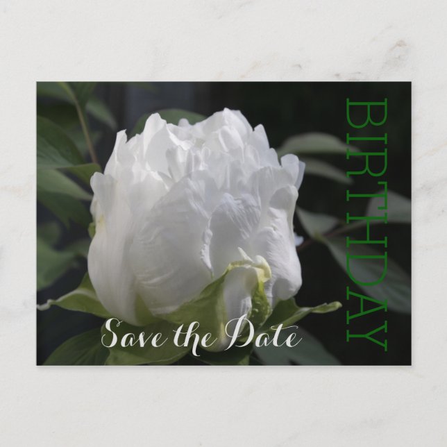 White Peony 30th Birthday Save the Date Postcard (Front)