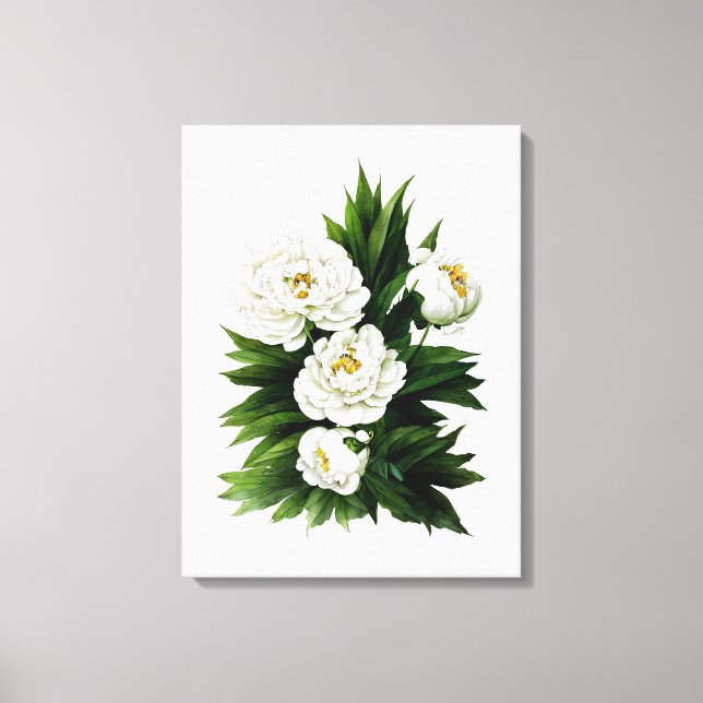 White peony botanical watercolor canvas art (Front)