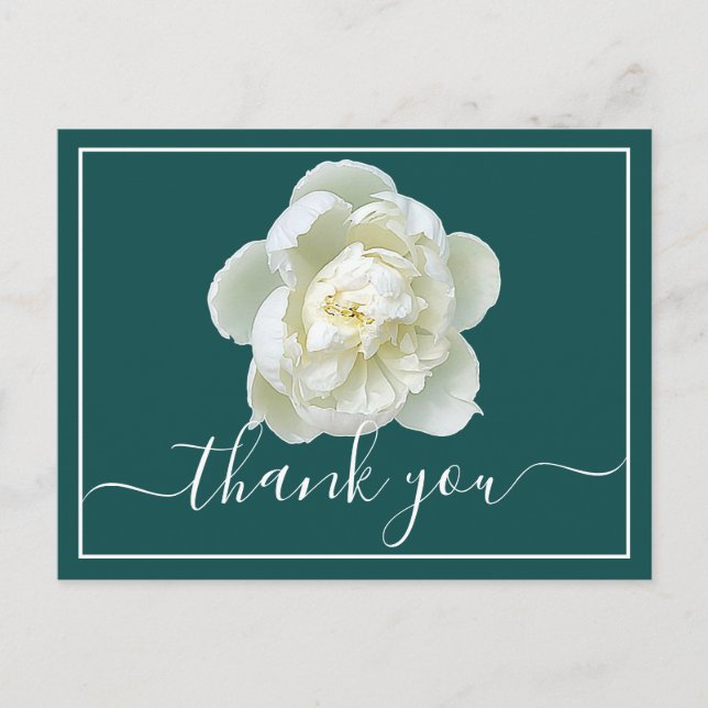 White Peony Cyan Background Thank You Postcard (Front)