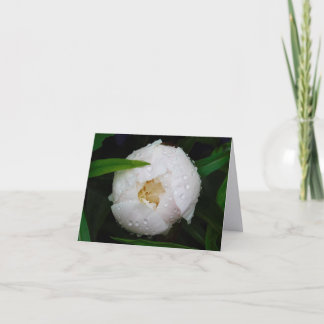 White Peony Fine Art Photography Folded Note Cards