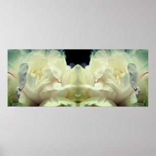 White Peony Flower In Bloom Mirror Abstract Poster