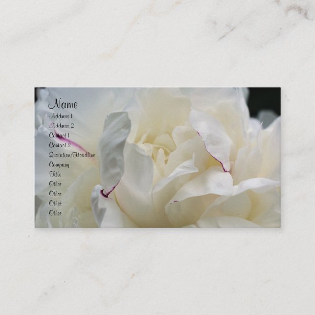 White Peony Flower Petals Nature Business Card (Front)