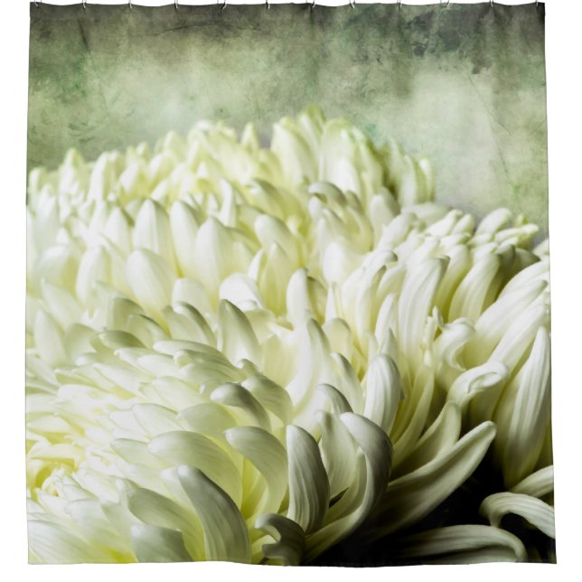 White Peony Flowers (Front)