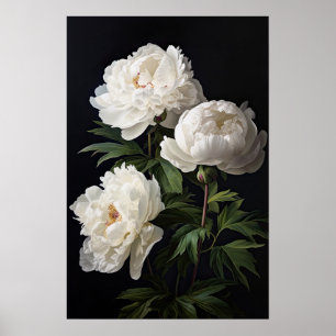 White Peony Flowers Art Imprimer Poster