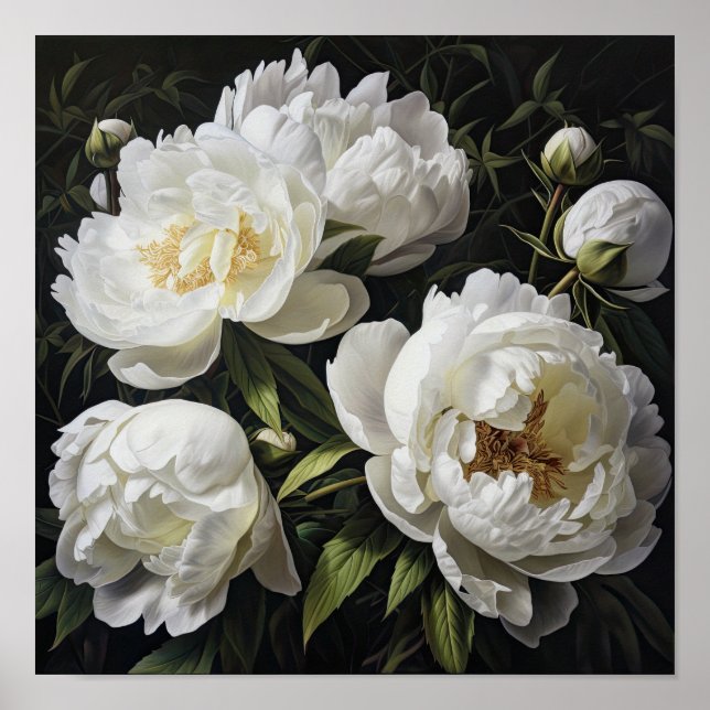 White Peony Flowers Art Print Poster (Front)