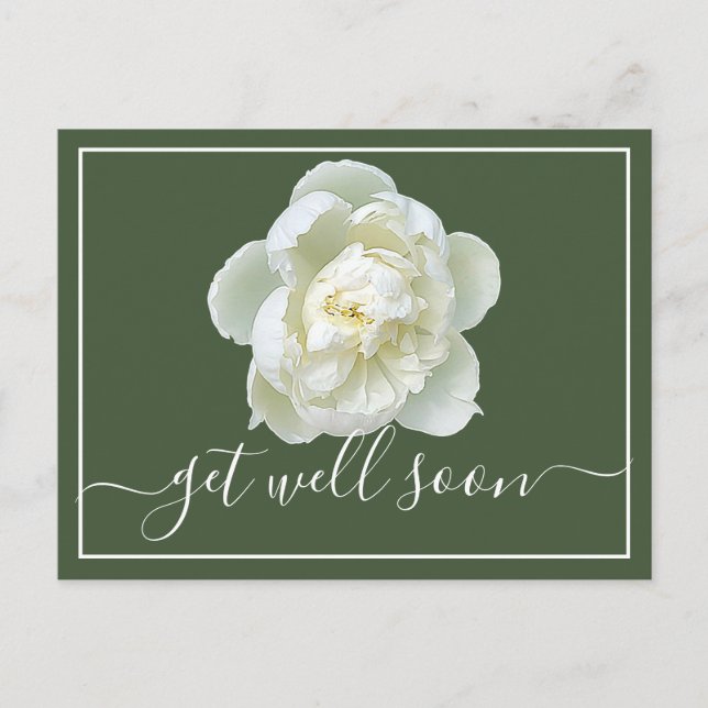 White Peony Green Background Get Well Postcard (Front)