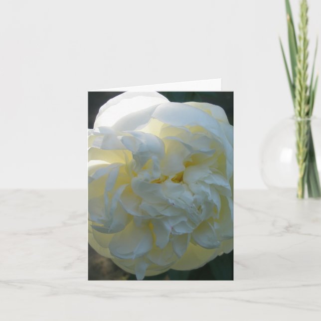 White Peony Note Card (Front)