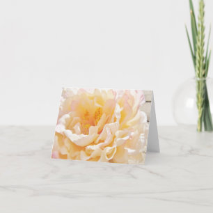 White Peony Note Cards