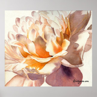 White Peony Watercolor Poster Print