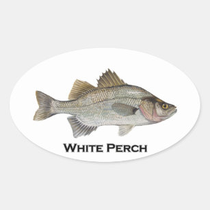 White Perch Oval Sticker