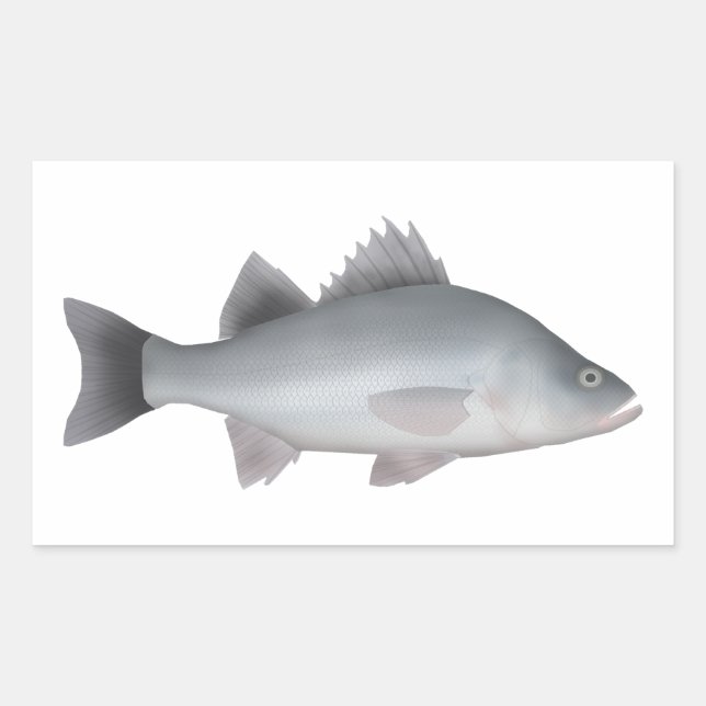 White Perch Sticker (Front)