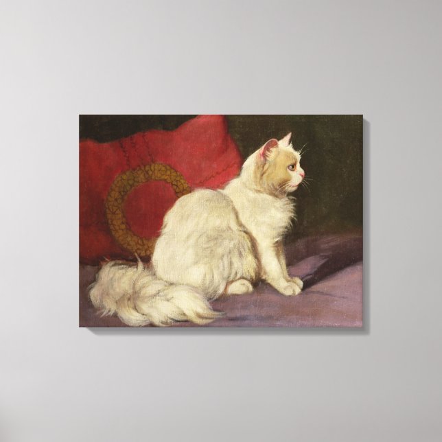 White Persian Cat Canvas Print (Front)