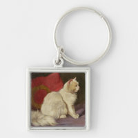 White Persian Cat