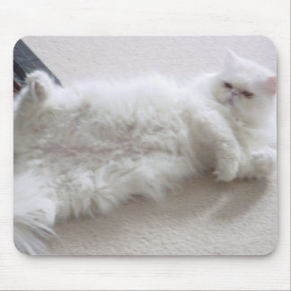 White Persian Cat Mouse Pad
